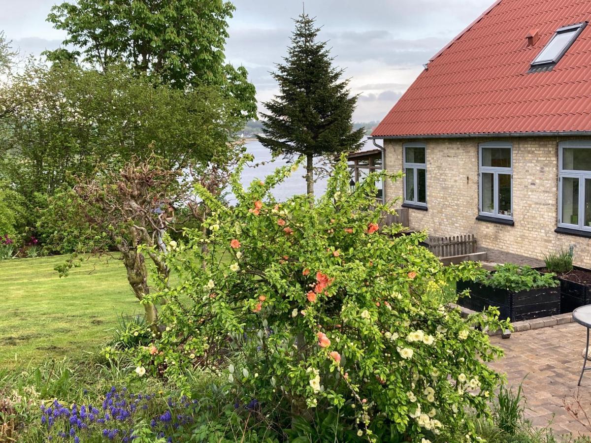 Bogebjerggard Bed & Breakfast Sonderborg Exterior photo